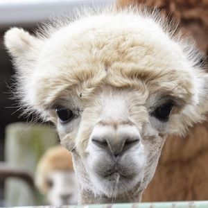 Meet your Posher, Keisha